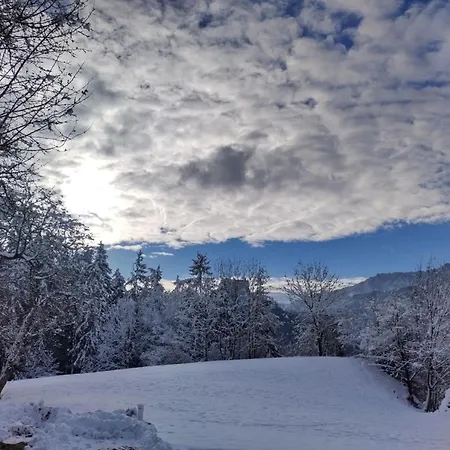 Zetzenberghuette Naehe Skiwelt Amade *