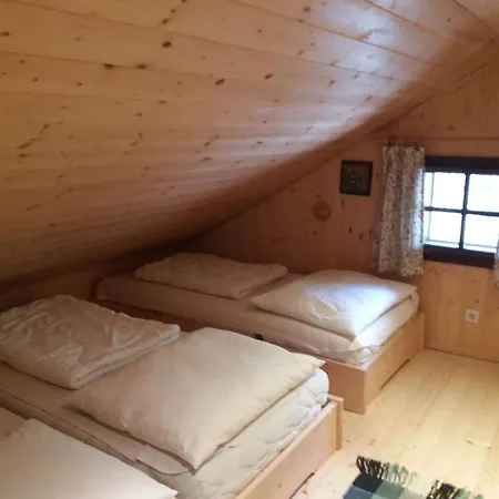 Zetzenberghütte Nähe Skiwelt Amadé Ferienhaus Schlaming