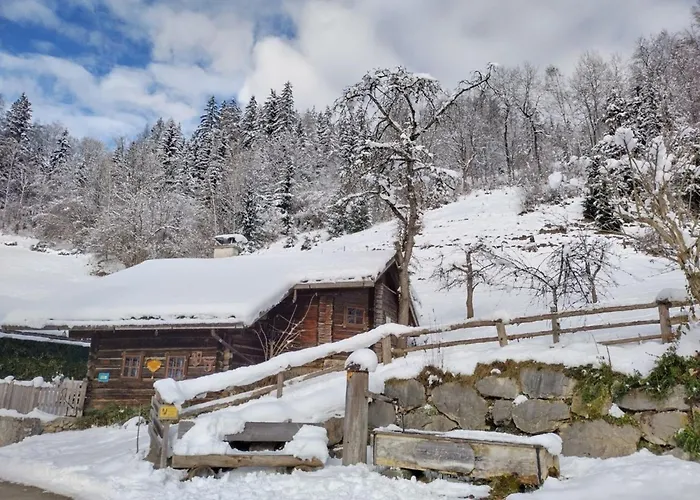 Zetzenberghuette Schladming