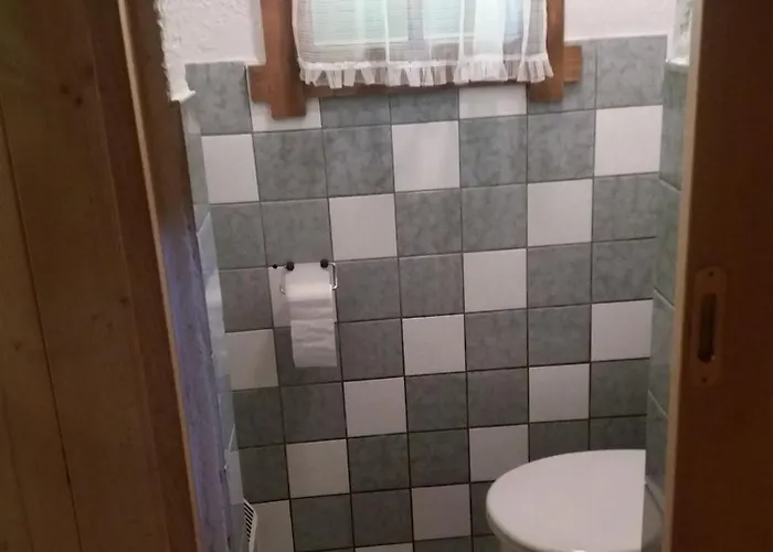 Zetzenberghuette * Schladming